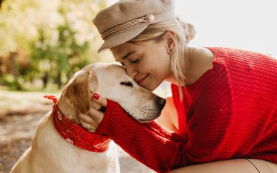 Psi kot družinski člani: pogled skozi teorijo navezanosti