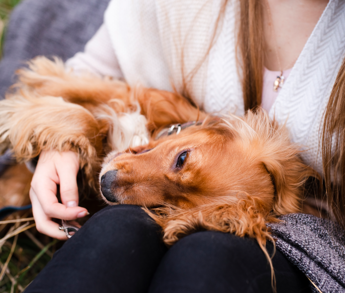 Kognitivno vedenjsko svetovanje Teresa Čopi
